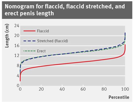 cock photo|File:Comparison of flaccid and erect penis.jpg